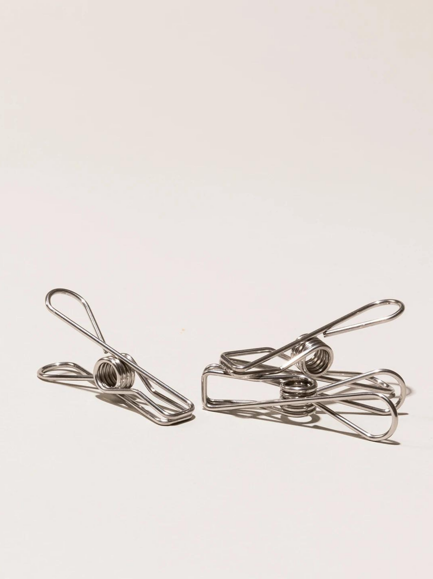 Stainless Steel Pegs - 30 pack
